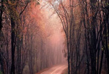 leyusport-莱万掷地有声！欧洲足球盛宴因他再添沸点