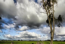 乐鱼vip注册-赛场斗魂燃烧时：当体育精神的光辉超越胜负