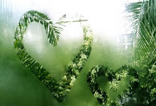 乐鱼登录-北美篮球热浪：为何全球目光正聚焦这片赛场？