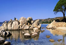 Leyu-当篮球巨星空降绿茵场！掘金资本数据碾压库里意甲格局一夜颠覆