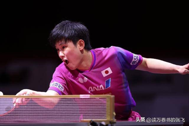 关于德国队力克英格兰队，张本智和扛起全队的信息